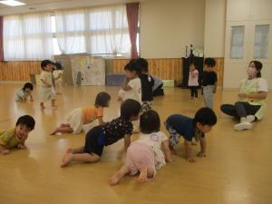わーお　はいはい
