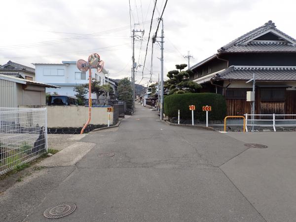 東側から撮影