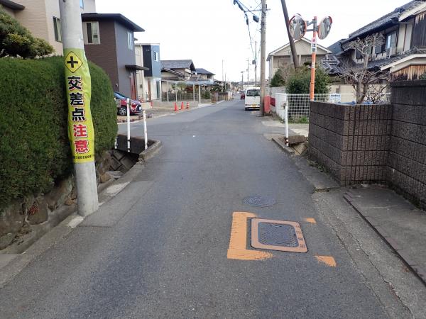 西側から撮影