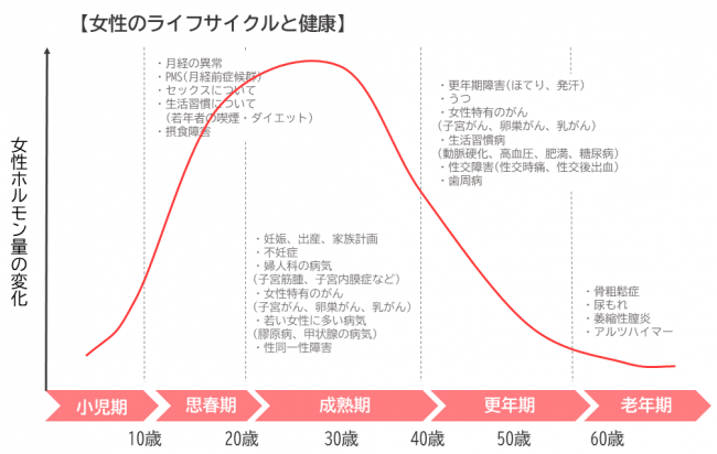 女性のライフサイクルと健康