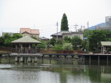 親水公園の画像1