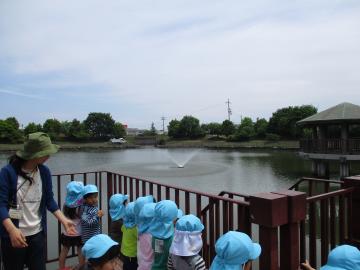 親水公園の画像3