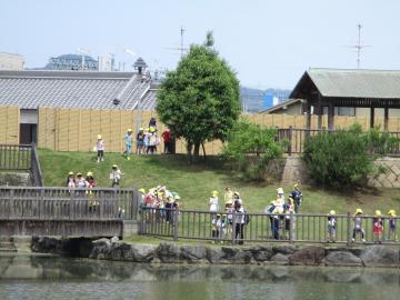 親水公園の画像7