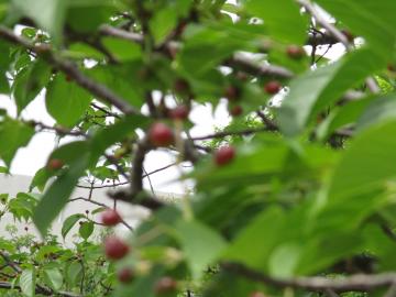 ​親水公園の画像10