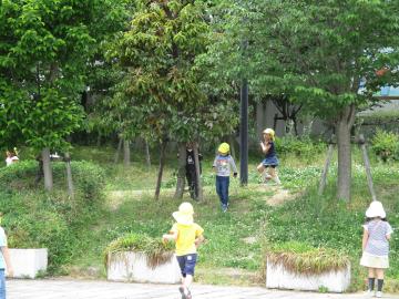 親水公園の画像17