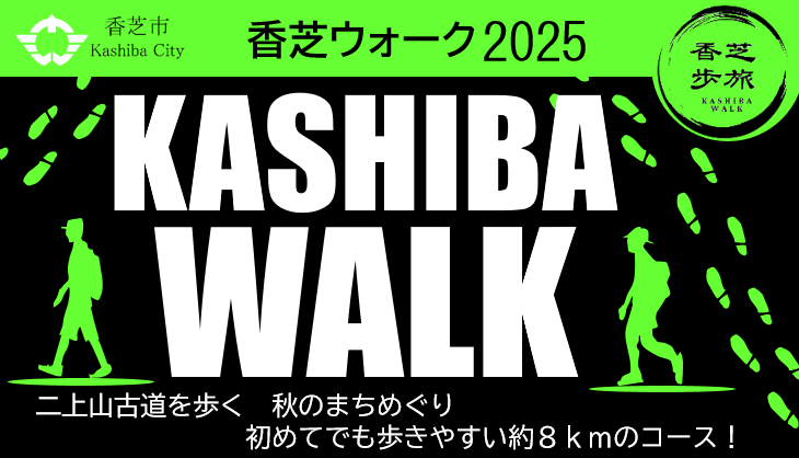 チラシ表上
