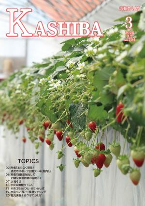 広報かしば3月号