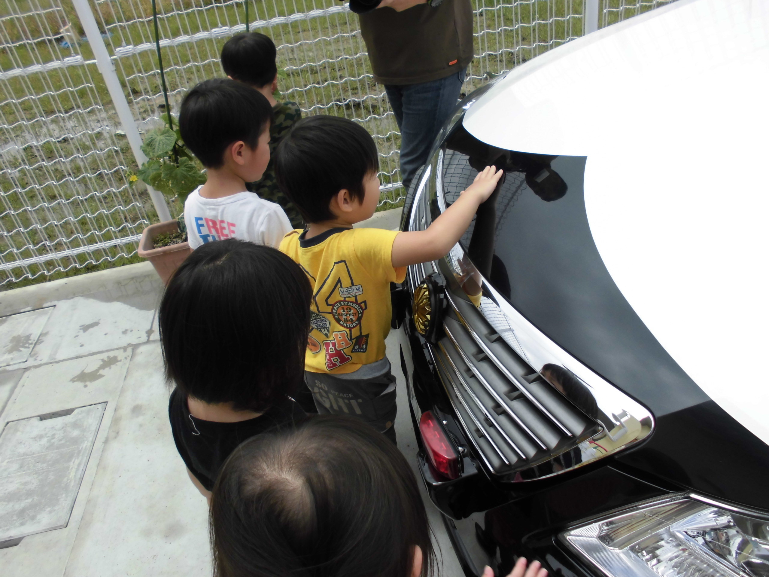 6月21日、交通安全教室があり、3、4、5歳児が参加しました。の画像9