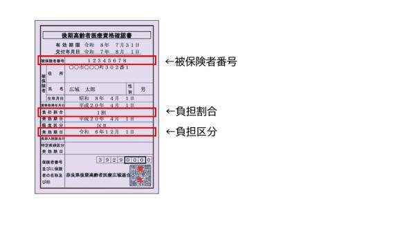 資格確認書の見本画像です。