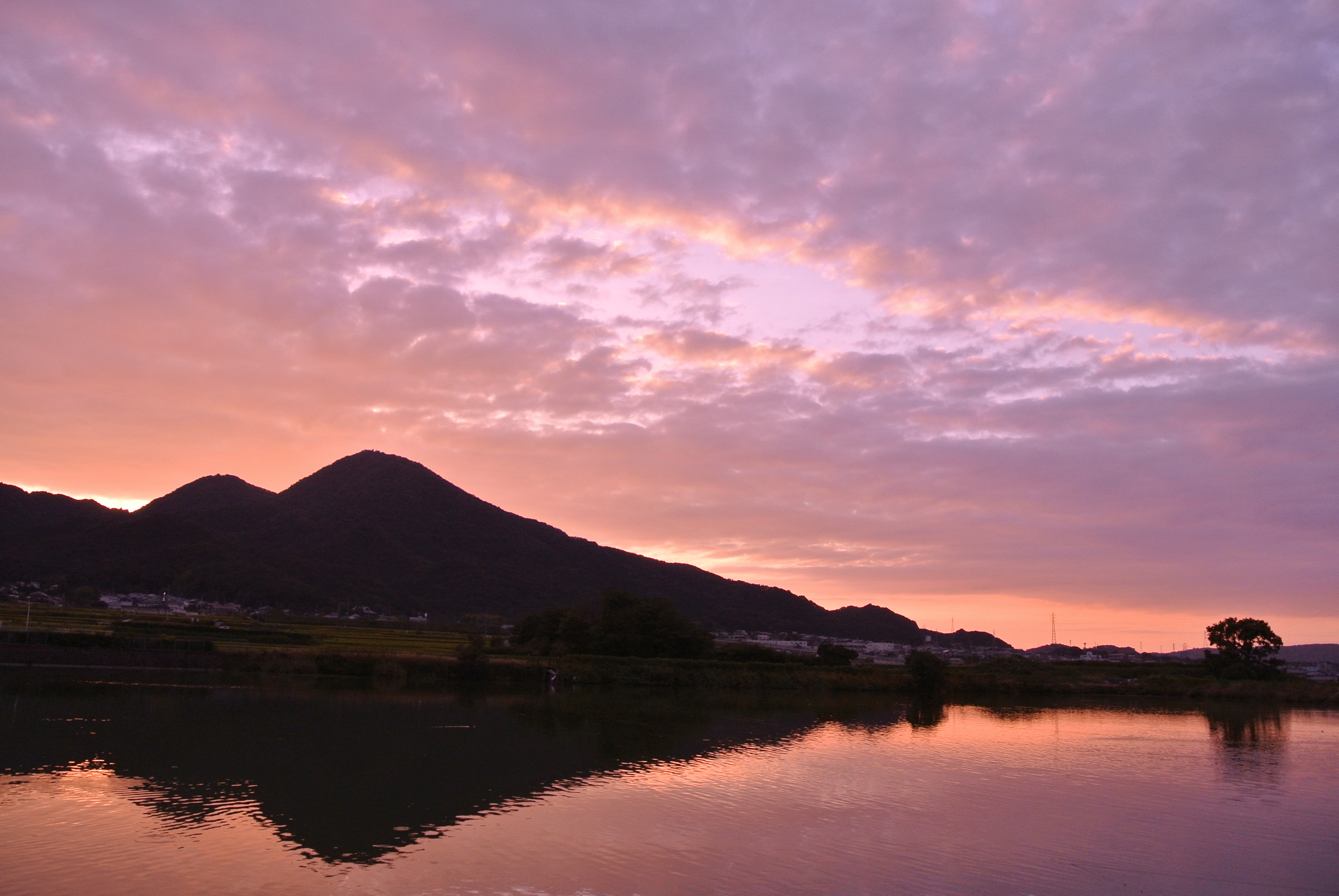 日没