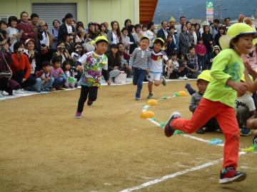 運動会　3・4・5歳児の画像2