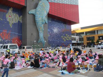 幼児クラス　遠足　「海遊館」に行ったよの画像3