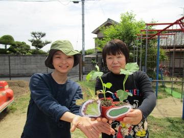 夏野菜を植えましたの画像1