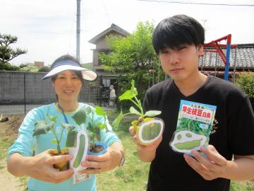 夏野菜を植えましたの画像2