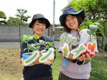 夏野菜を植えましたの画像3