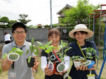 夏野菜を植えましたの画像4