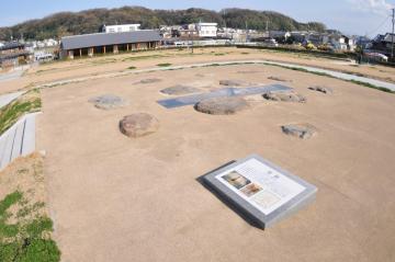 (5)文化芸術および生涯学習の振興に関する事業の画像1