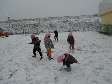 正月遊びだ！雪だ！最高だー！の画像3