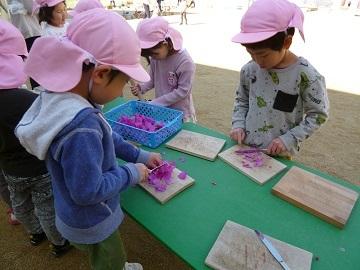 春の草花あそびの画像