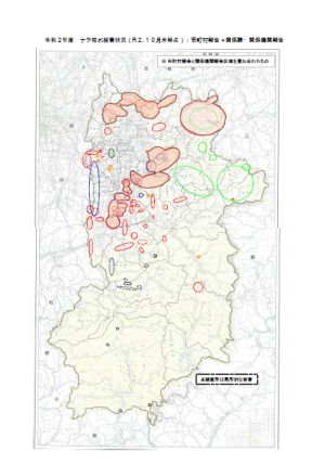 R２年度10月末時点被害区域図