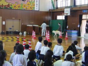 盲導犬ユーザーデモンストレーション