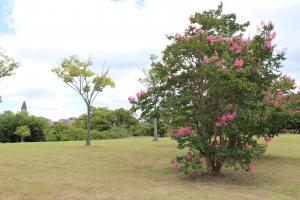 高塚地区公園3