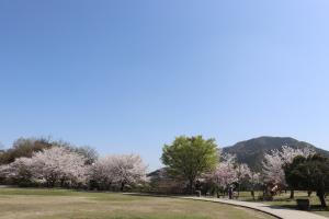 郡ヶ池近隣公園1