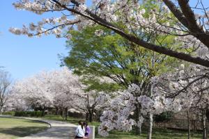 郡ヶ池近隣公園2