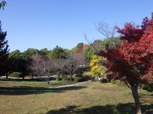 旭ケ丘近隣公園