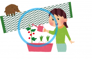 (3)家庭菜園などの管理