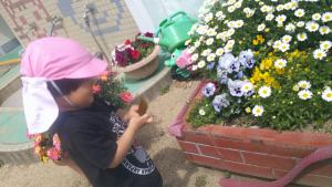 2歳児6
