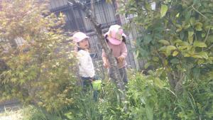2歳児7
