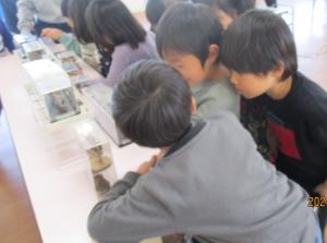 自然物作品　見本を見ている子どもたち
