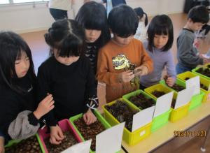 自然物を選んでいる子どもたち