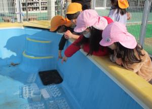 氷を見ている幼児