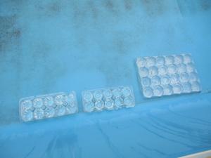 容器に入れた水