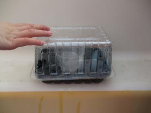 日陰を作って水を置いている様子