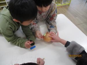 玉ねぎの皮むき