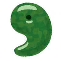 まがたま