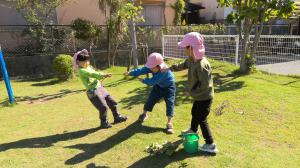 さつまいものつるで綱引きをしている様子