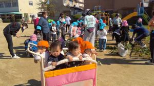 さつまいも堀りを見る　0歳児