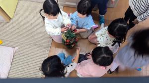 ツリーを見ている2歳児