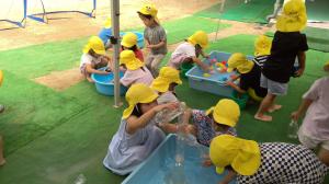 水遊び（4歳児）
